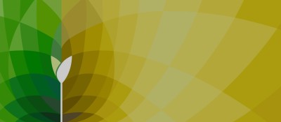 Biomass and Carbon Neutrality thumb