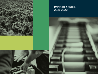 Rapport annuel thumb