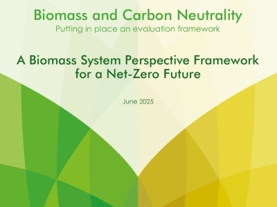 Biomass System Perspective Framework thumb