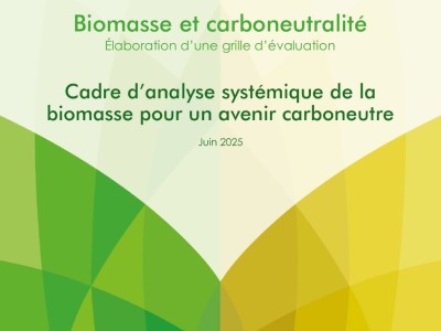 Cadre d'analyse systémique de la biomasse thumb